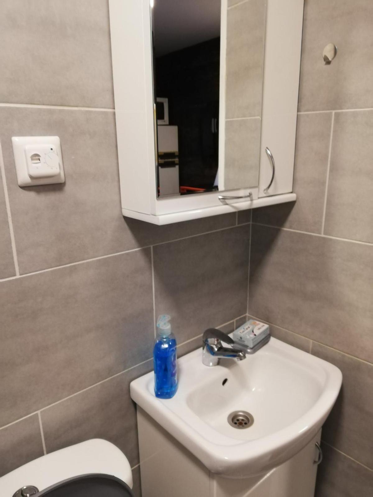 Stara Etno Kuca Radonjic Villa Guča Cameră foto